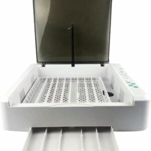 incubator for bird eggs