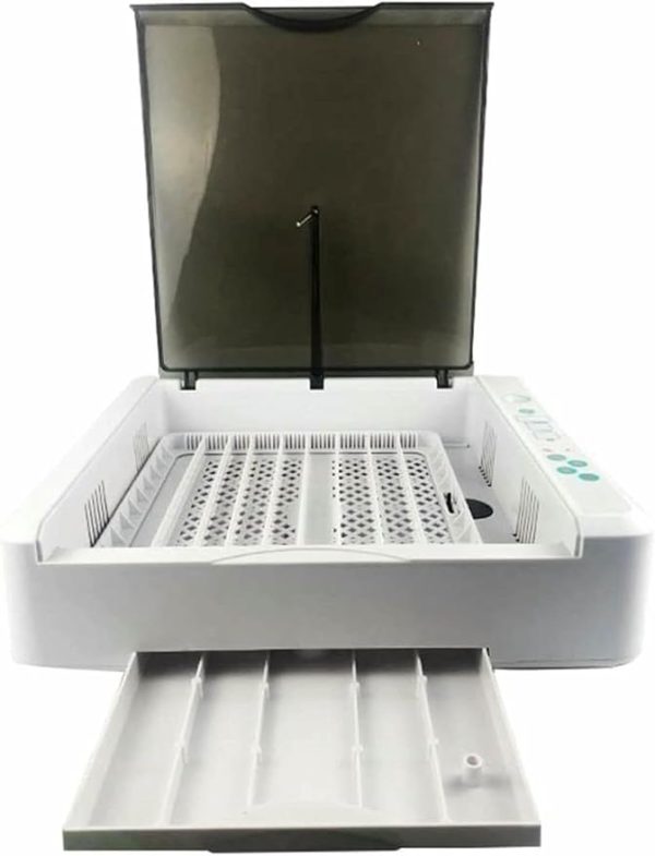 incubator for bird eggs
