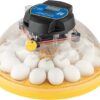 incubator for bird eggs