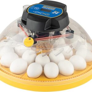 61AAdyMwrRL._AC_SX679_ incubator for bird eggs