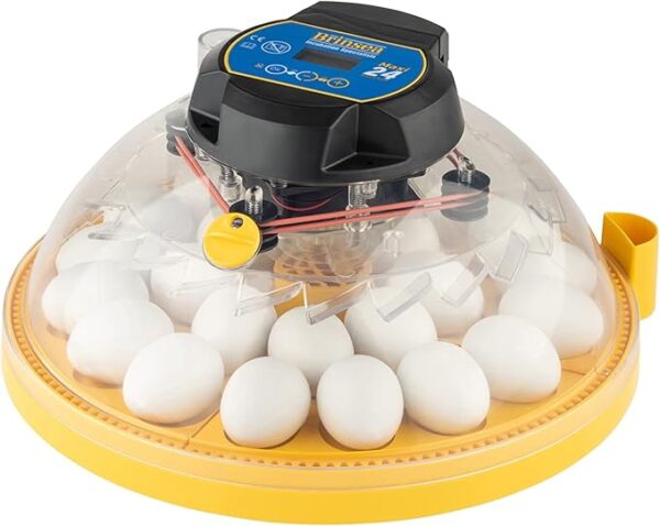 incubator for bird eggs