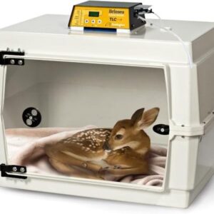 61R6Cho0isL._AC_SX679_-481x400 incubator for bird eggs
