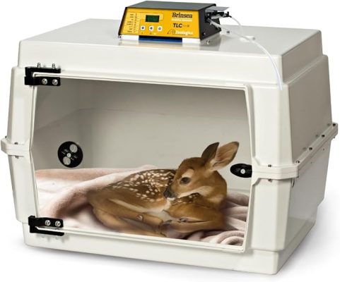 incubator for bird eggs