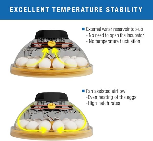 incubator for bird eggs