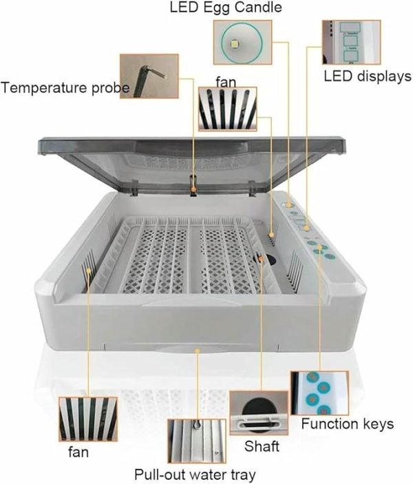 incubator for bird eggs