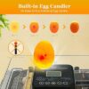 incubator for bird eggs