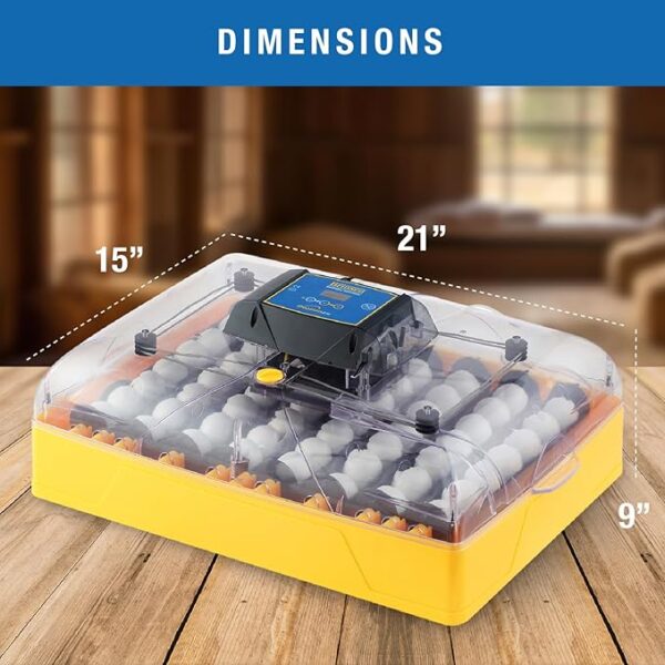 incubator for bird eggs