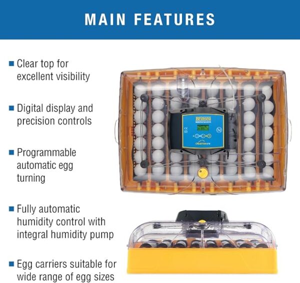 incubator for bird eggs