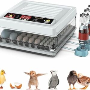 incubator for bird eggs
