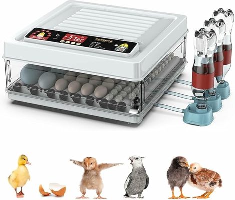 71IVptaUIaL._AC_SX679_-469x400 incubator for bird eggs