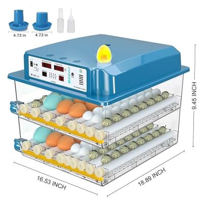 71Iw74fj9mL._SX466_-400x400 incubator for bird eggs