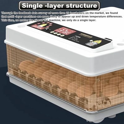 71Ji3TY4qL._AC_SX679_-400x400 incubator for bird eggs