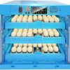 71MGlwUmdrL._AC_SX679_-415x400 incubator for bird eggs