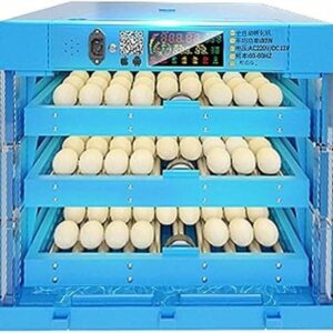 71MGlwUmdrL._AC_SX679_-415x400 incubator for bird eggs