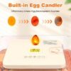 incubator for bird eggs