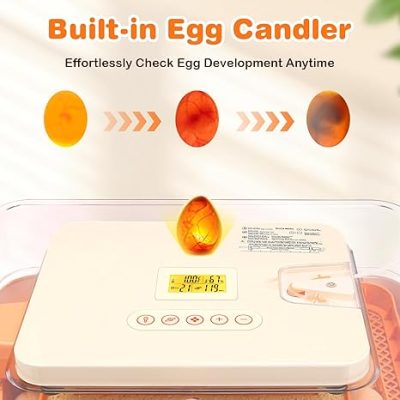 incubator for bird eggs