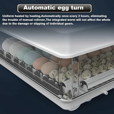 71VJkfTYzxL._AC_SL1500_-400x400 incubator for bird eggs