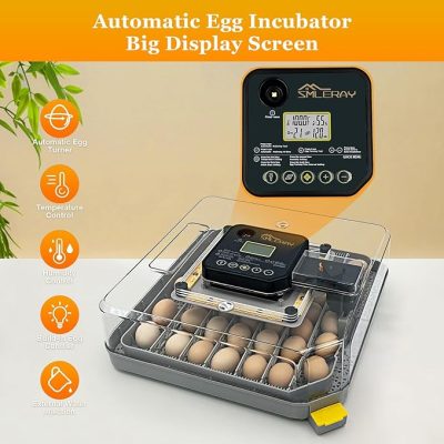 incubator for bird eggs