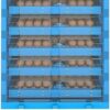 incubator for bird eggs