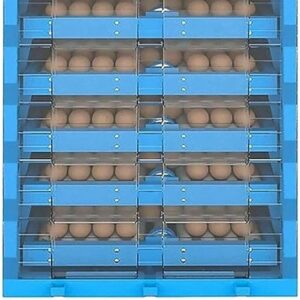 incubator for bird eggs
