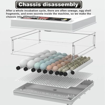 71cdcv72lZL._AC_SL1500_-400x400 incubator for bird eggs