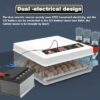 71d-d4W4Z-L._AC_SX679_-400x400 incubator for bird eggs