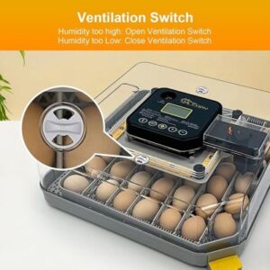 incubator for bird eggs