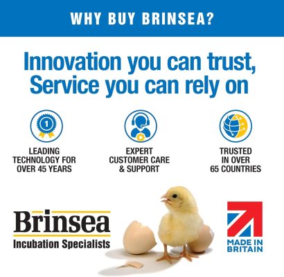 incubator for bird eggs