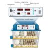 71nIGesCunL._SX466_-400x400 incubator for bird eggs