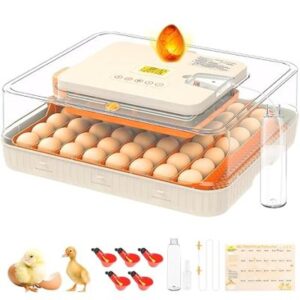 incubator for bird eggs