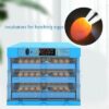 71sycljgQ0L._AC_SX679_-400x400 incubator for bird eggs