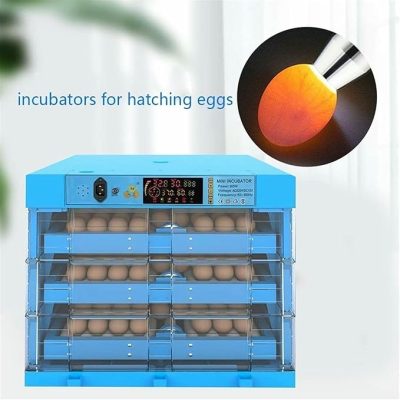 71sycljgQ0L._AC_SX679_-400x400 incubator for bird eggs