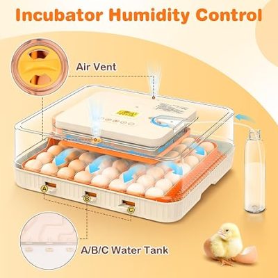 incubator for bird eggs