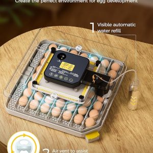 incubator for bird eggs