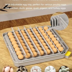 48 Egg Incubator for Hatching with Automatic Egg Turning and Humidity Control, Egg Candler, Poultry Egg Incubator for Chicken, Ducks, Goose, Pigeon, Quail, ideal for Farm, Classroom, Home