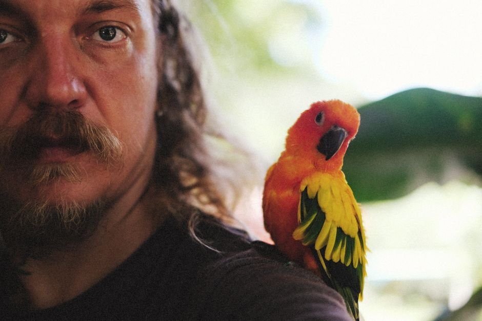 How to Train Your Parrot: Building a Bond — Getting Started with Parrot Training